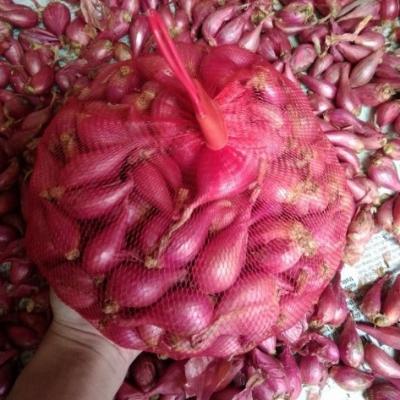 Rượu tỏi đen Lý Sơn